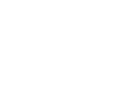 Stella Artois